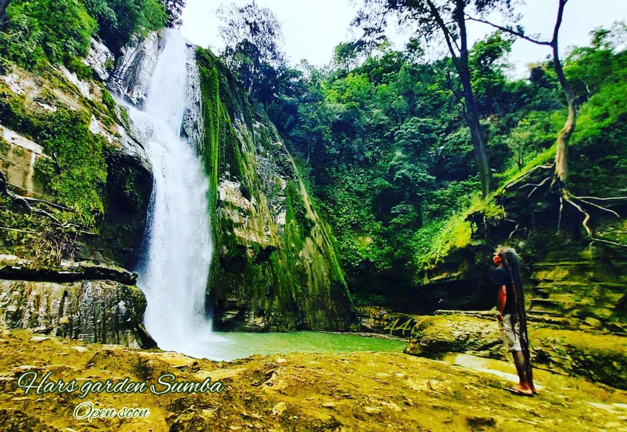 Hars Garden Sumba Otel Waingapu Dış mekan fotoğraf