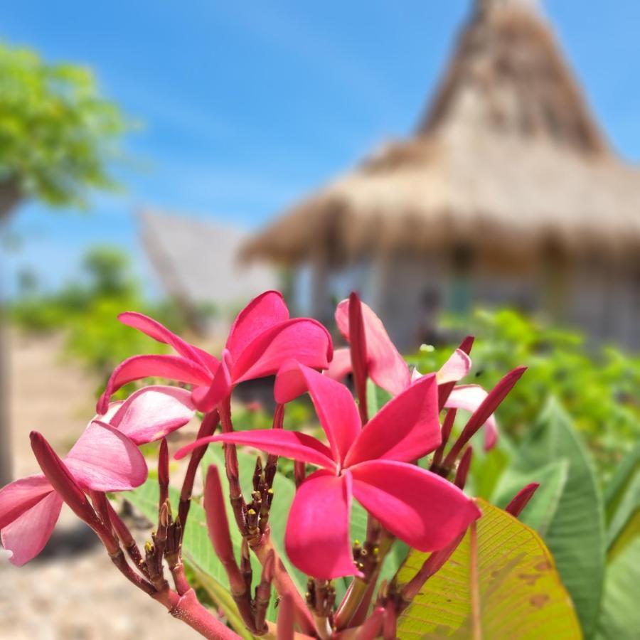 Hars Garden Sumba Otel Waingapu Dış mekan fotoğraf