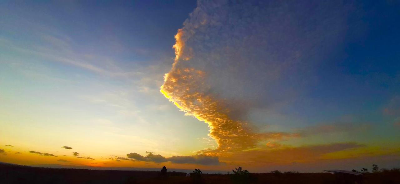 Hars Garden Sumba Otel Waingapu Dış mekan fotoğraf