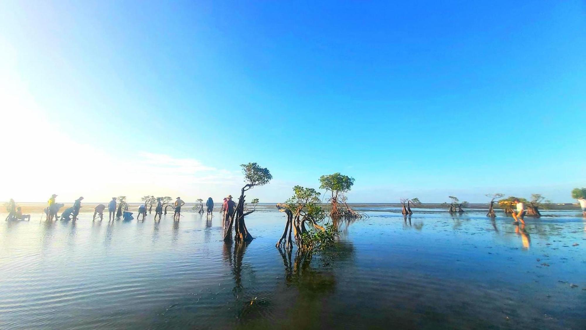 Hars Garden Sumba Otel Waingapu Dış mekan fotoğraf