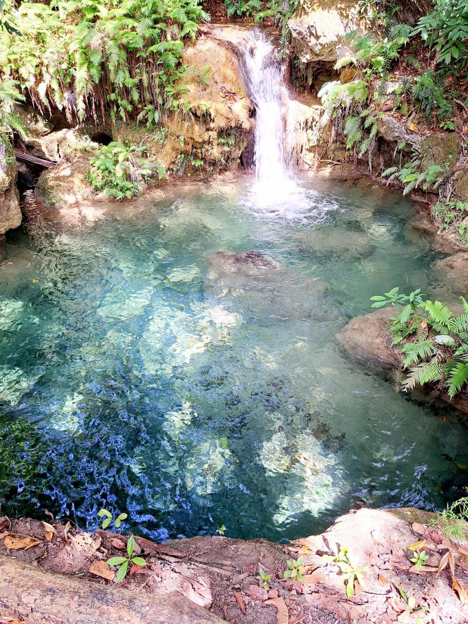 Hars Garden Sumba Otel Waingapu Dış mekan fotoğraf